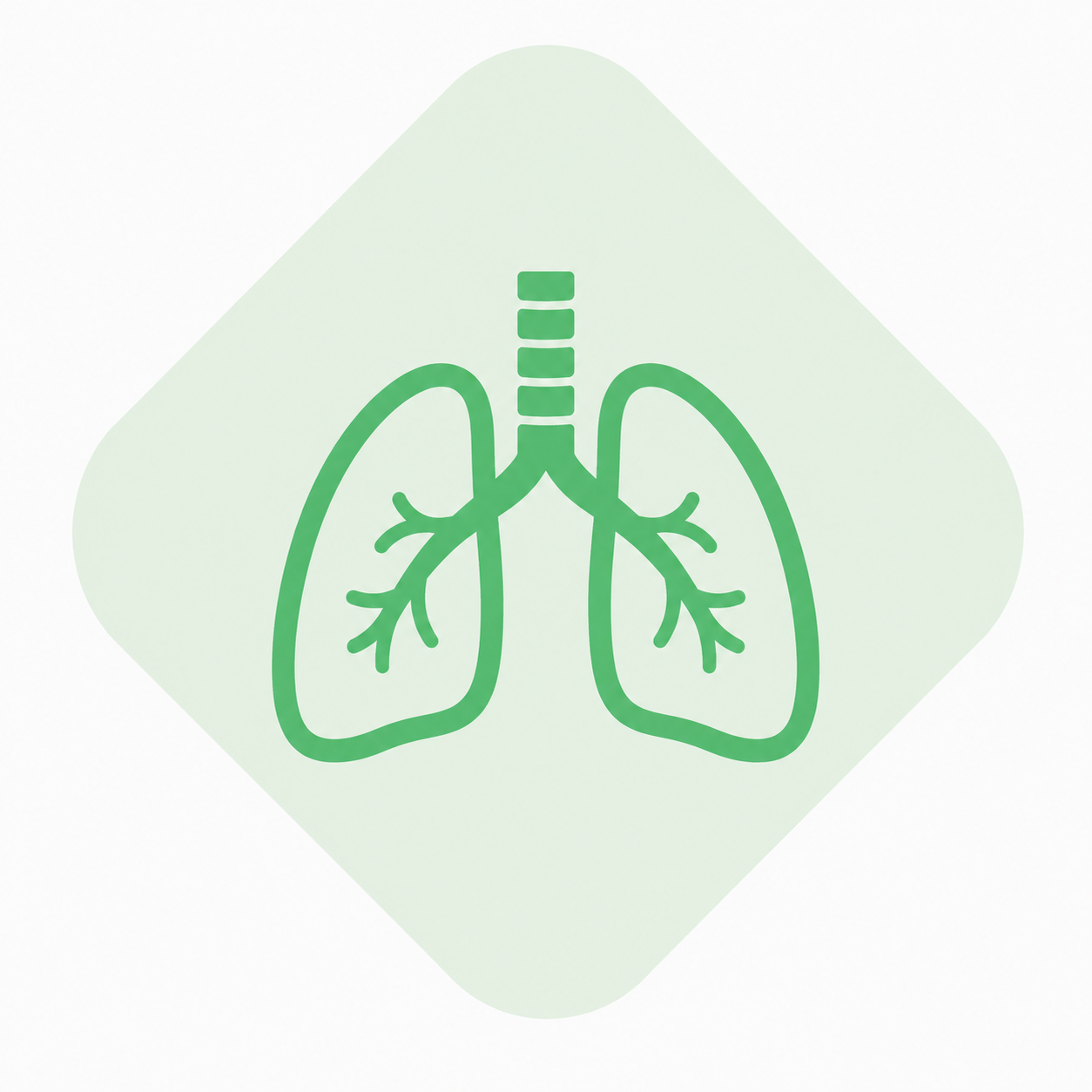 Sistema respiratorio